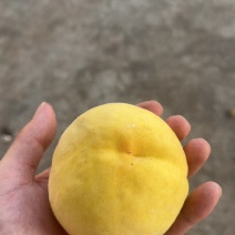 4两以上
