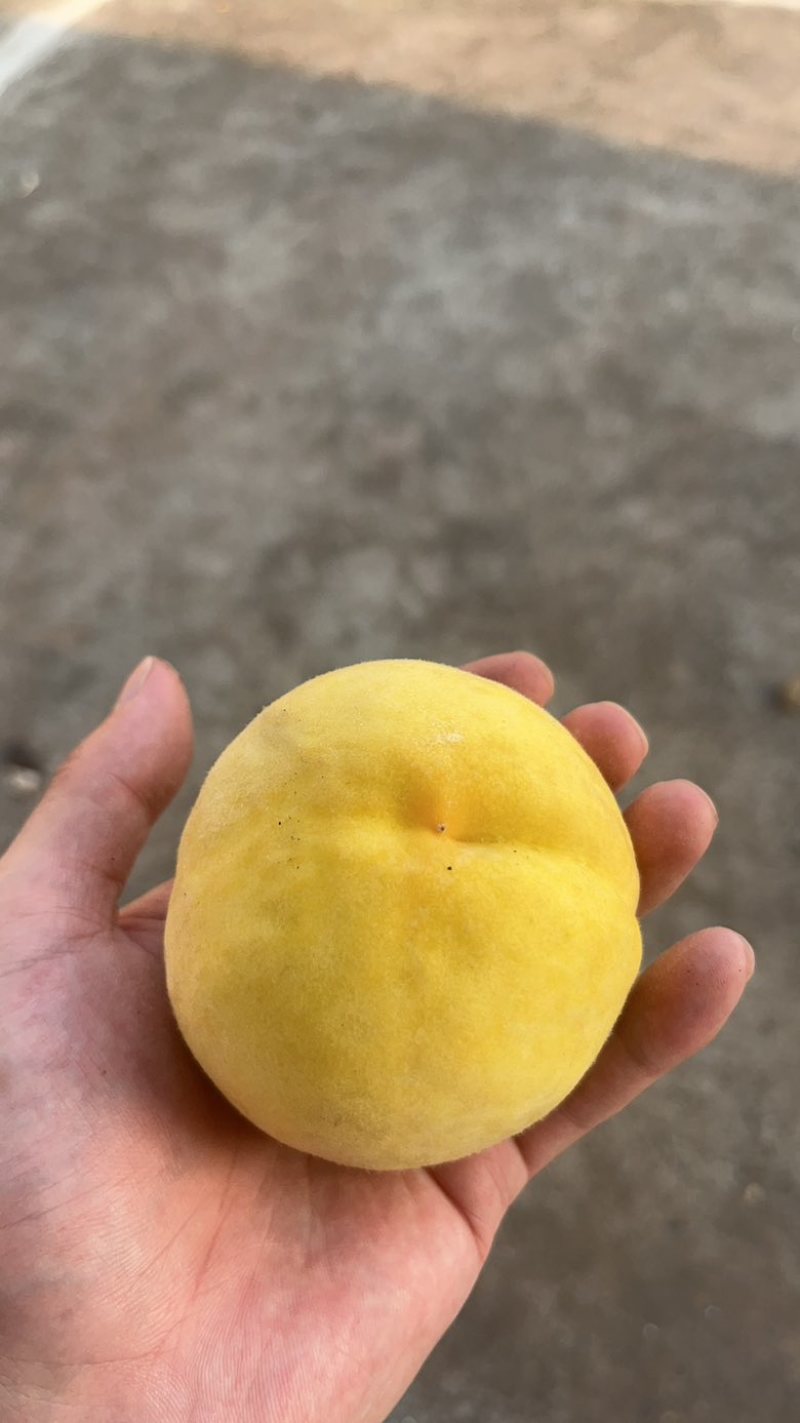 4两以上
