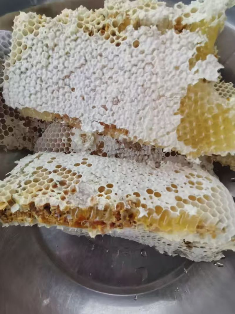 山里来蜂蜜，都是来自于大自然的馈赠蜜蜂只是大自然的搬运工
