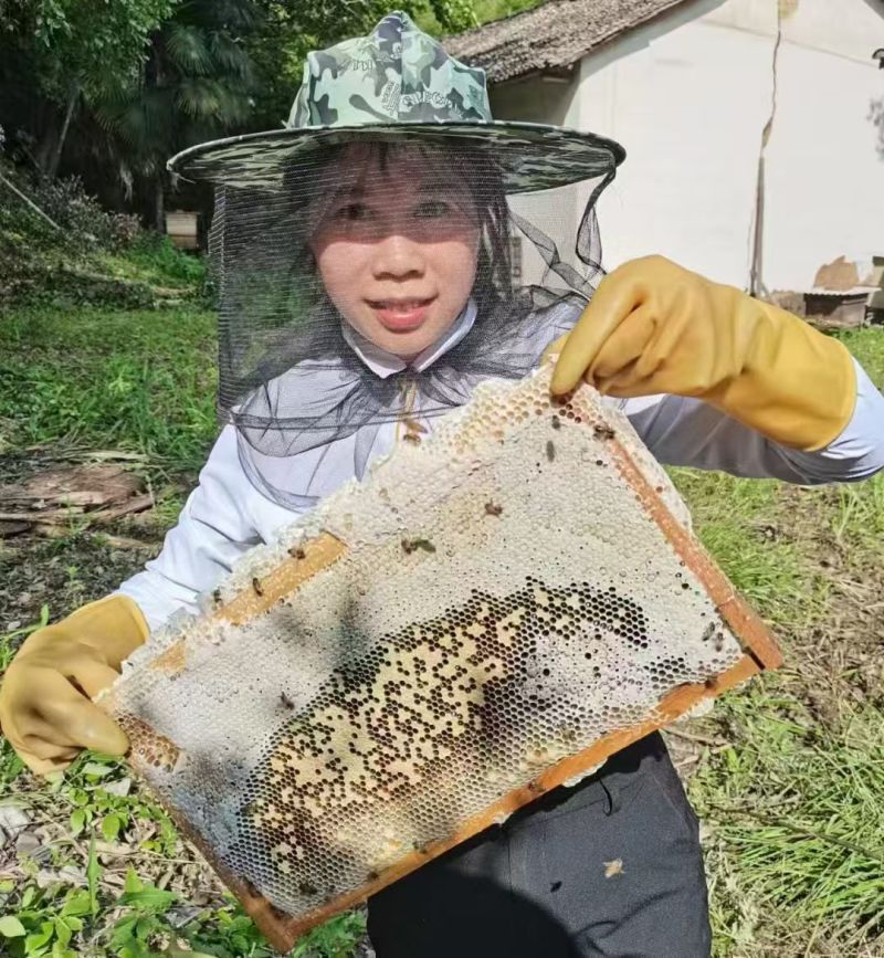 山里来蜂蜜，都是来自于大自然的馈赠蜜蜂只是大自然的搬运工