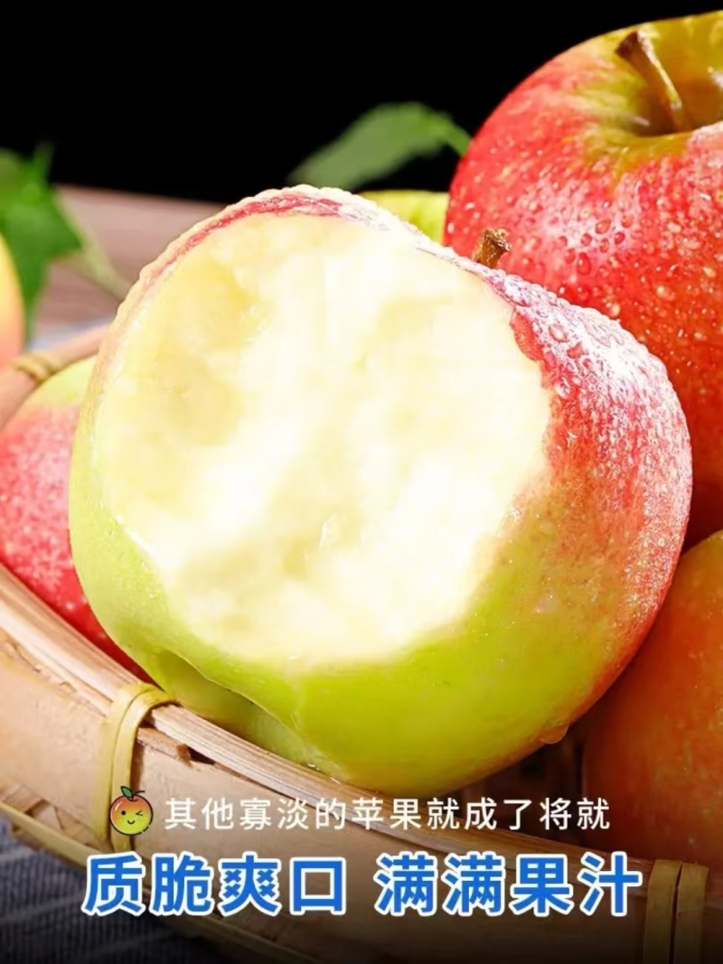 现摘鲁丽苹果全网一件代发价格公道