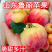 现摘鲁丽苹果全网一件代发价格公道