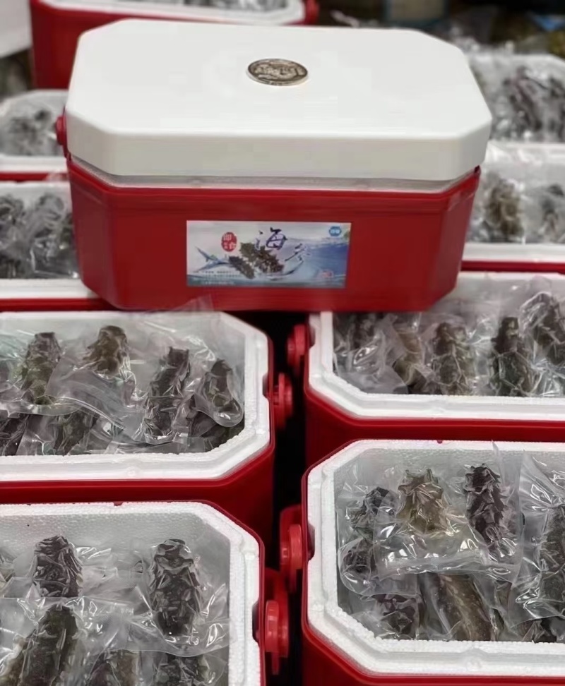 自产海参，海产品