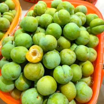 巴山青脆李。量大