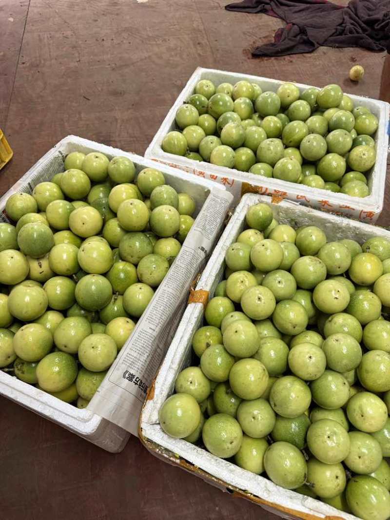 纯甜百香果