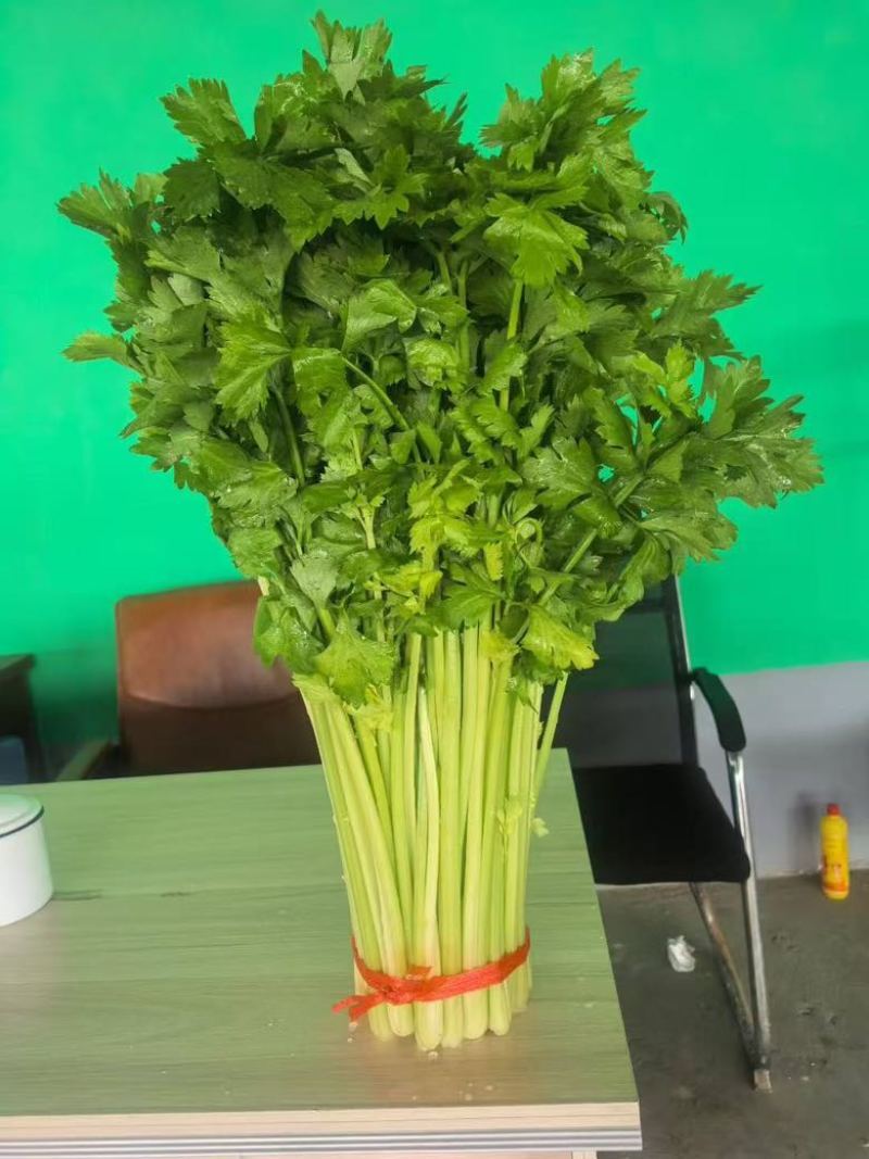 高原夏菜精品毛芹