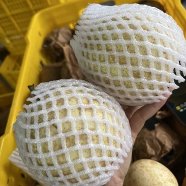 通货，200克以上一个
