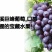泸溪狮子山巨峰葡萄