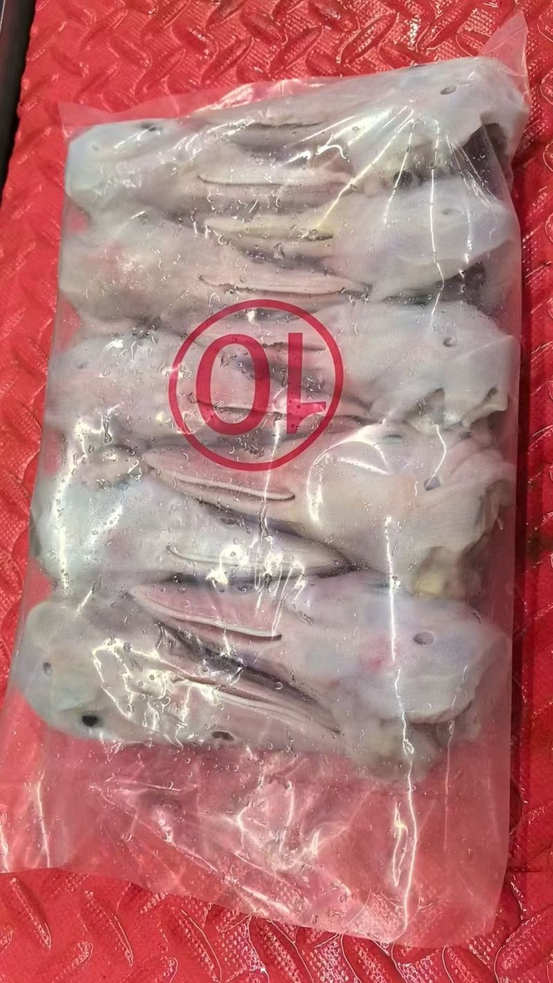 鸭头10头，便宜出，冷冻批发证件齐全价格优惠
