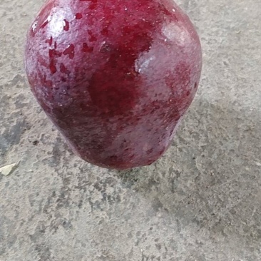 红啤梨