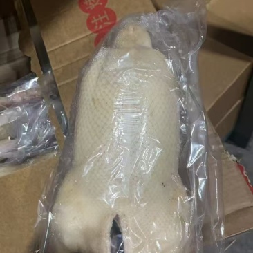 烤鸭胚，3斤半的三斤四两的鸭坯子800只左右