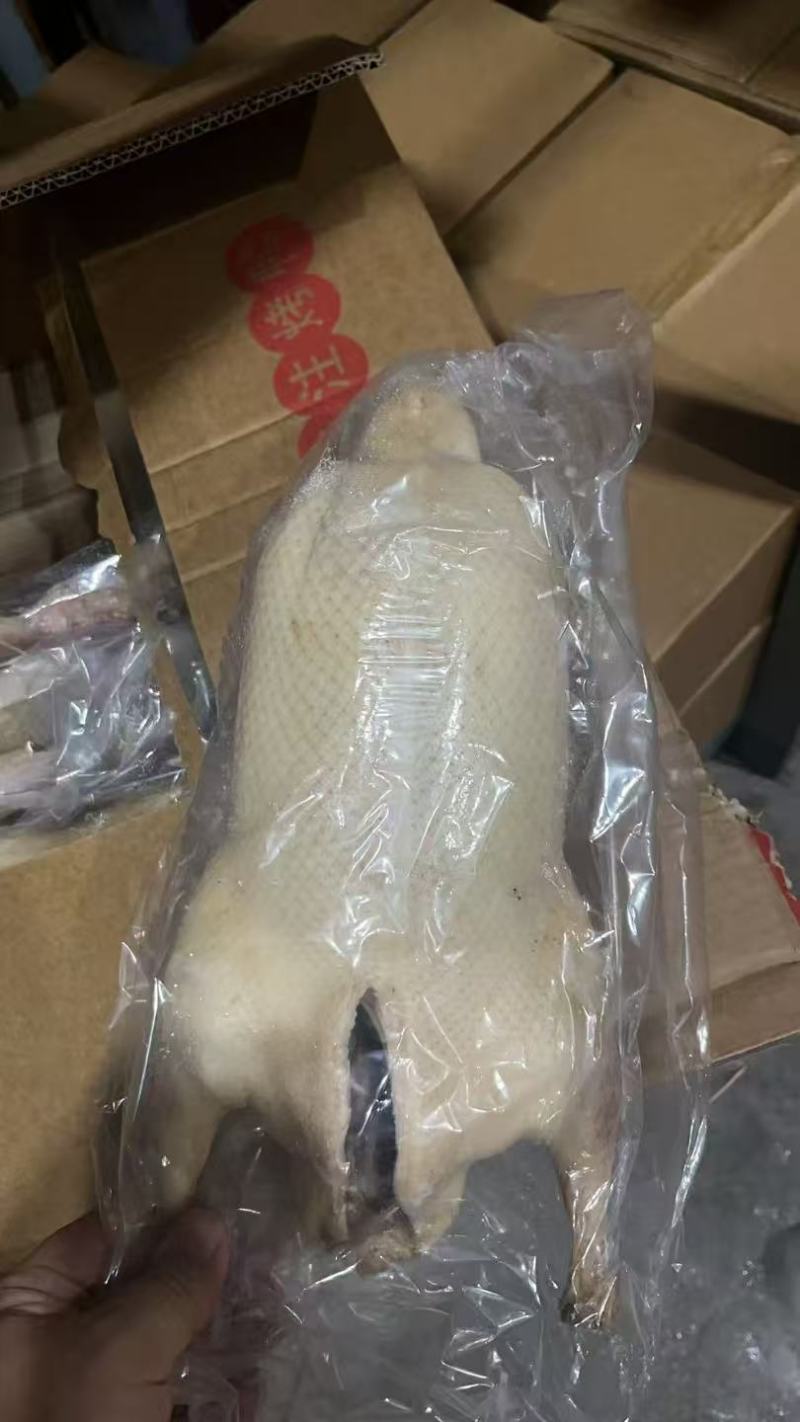 烤鸭胚，3斤半的三斤四两的鸭坯子800只左右