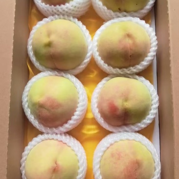 无锡水蜜桃