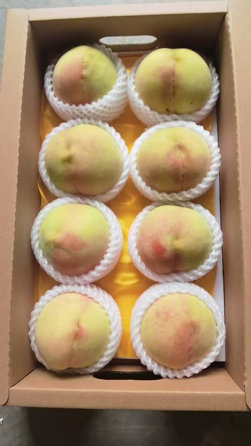 无锡水蜜桃