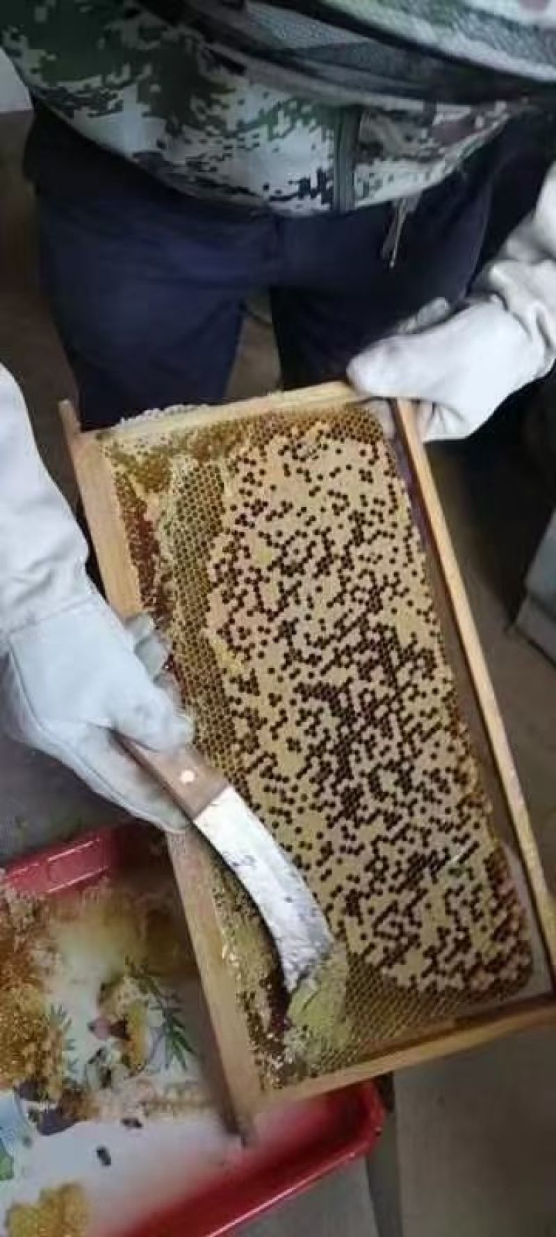甘肃省庆阳市农家土蜂蜜