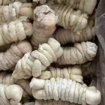 精修羊捆肠羊肠厂家直销量大从优