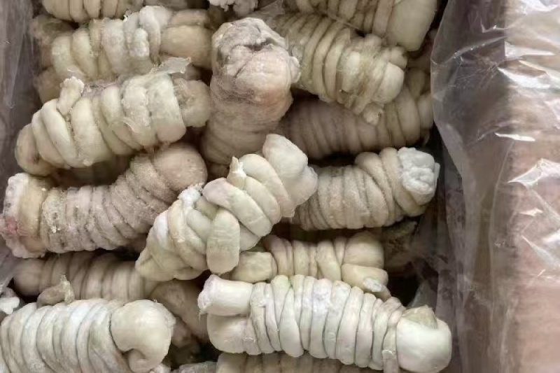 精修羊捆肠羊肠厂家直销量大从优