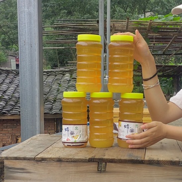 蜜中精品黄栢蜜