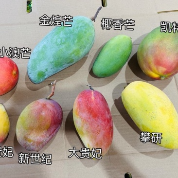 攀枝花芒果一件代发