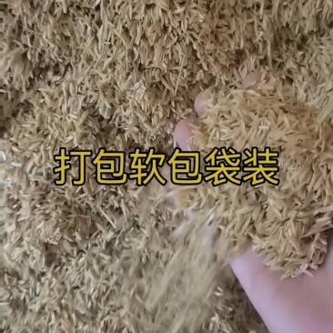 重庆地区精品打包袋装稻壳