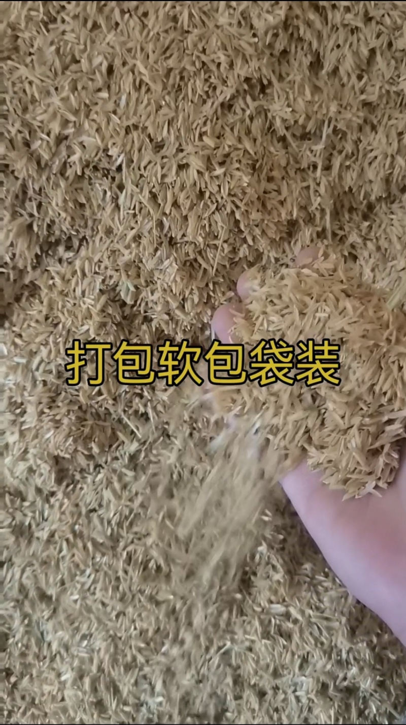 重庆地区精品打包袋装稻壳