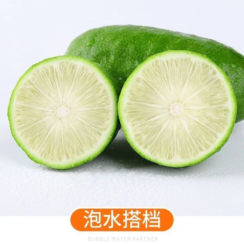 香水柠檬