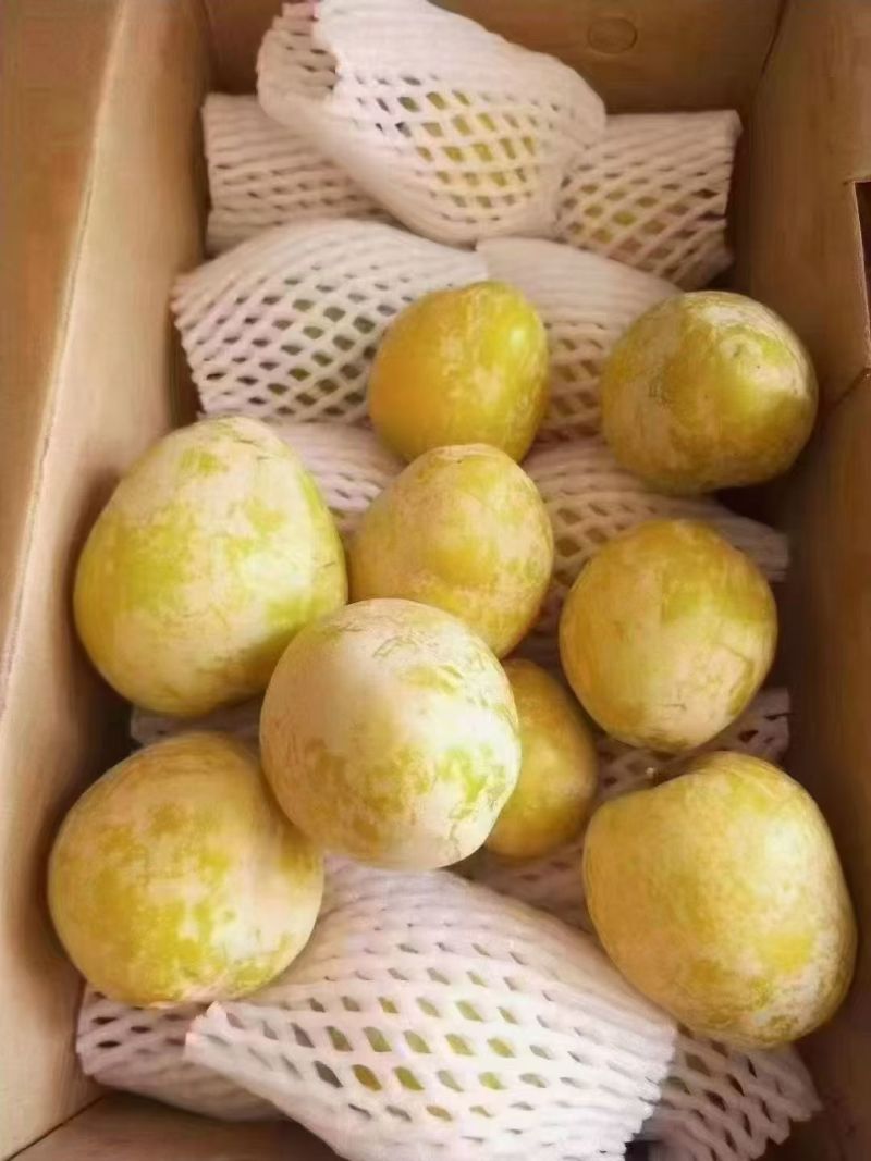 中国黄金奈李