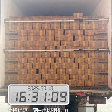速冻黄柠檬