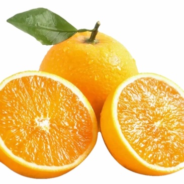 夏橙