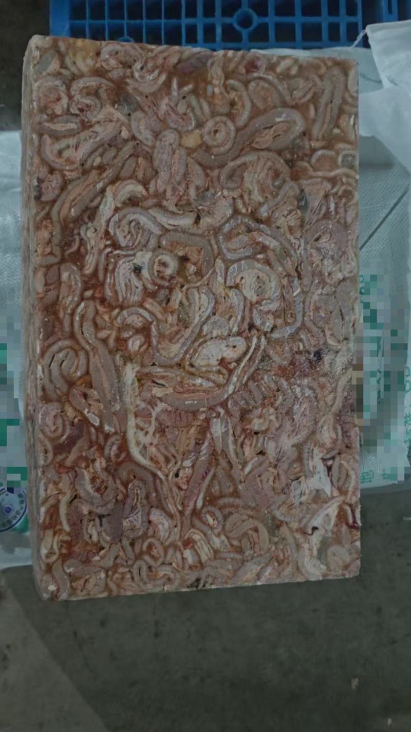 鸡肠