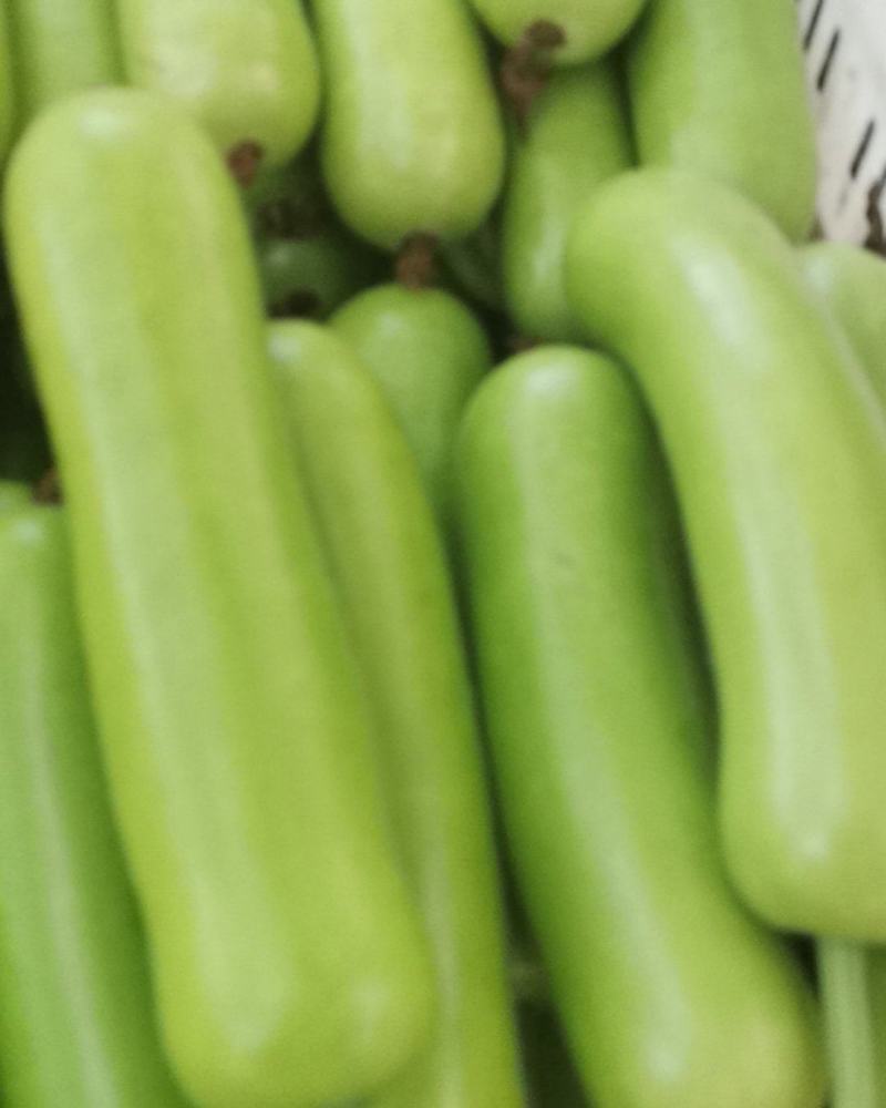 瓠子
