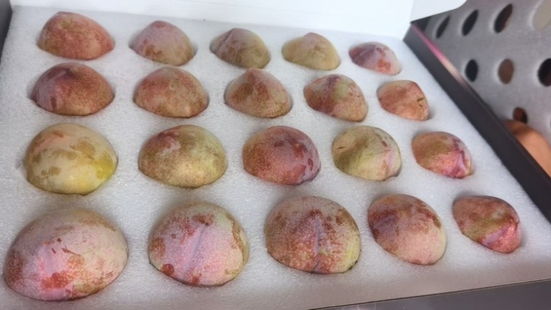 桃形李礼盒装精品装都有中果礼盒，大果礼盒，精品礼盒