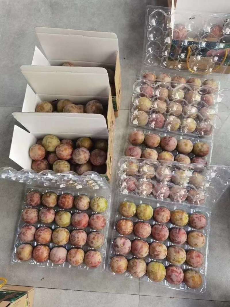 桃形李礼盒装精品装都有中果礼盒，大果礼盒，精品礼盒