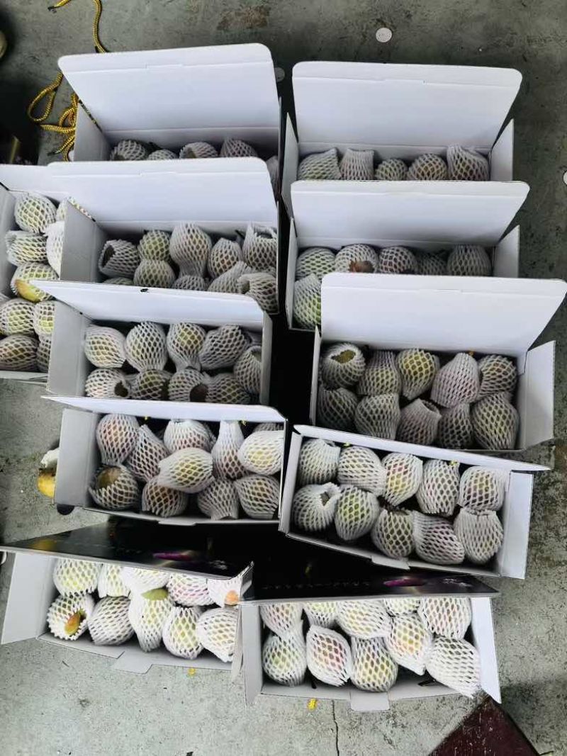 桃形李礼盒装精品装都有中果礼盒，大果礼盒，精品礼盒