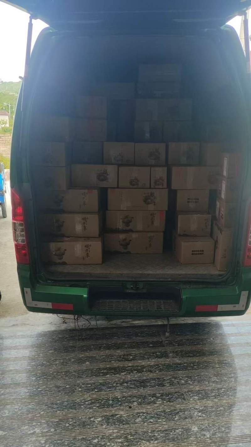 桃形李礼盒装精品装都有中果礼盒，大果礼盒，精品礼盒
