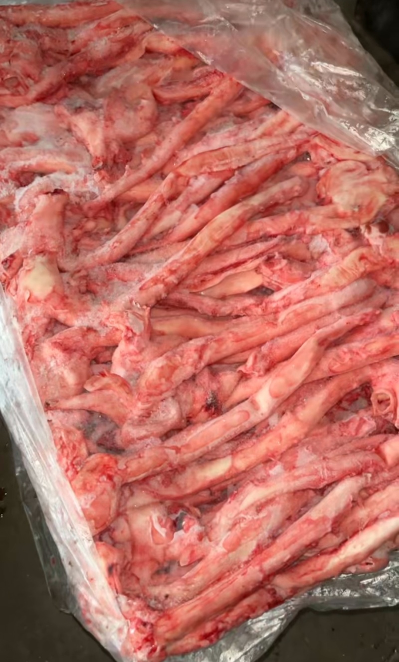 肥猪心管