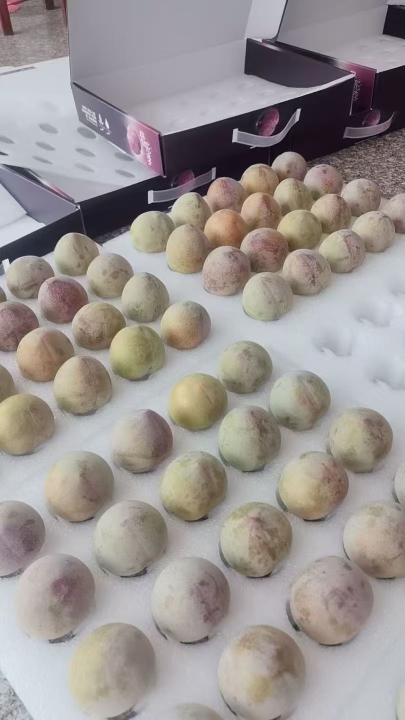 精品桃形李