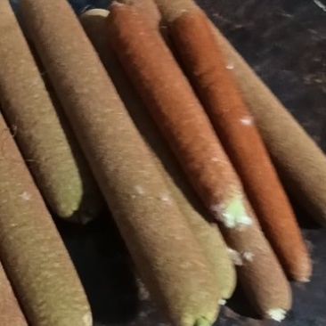 鲜蒲棒