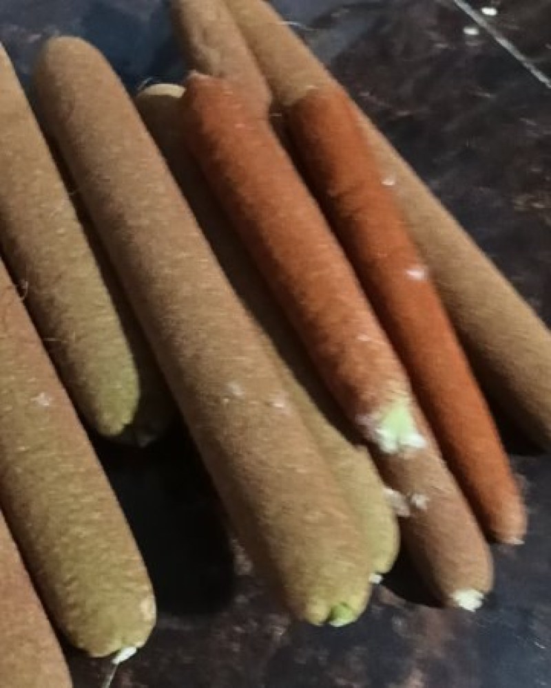 鲜蒲棒