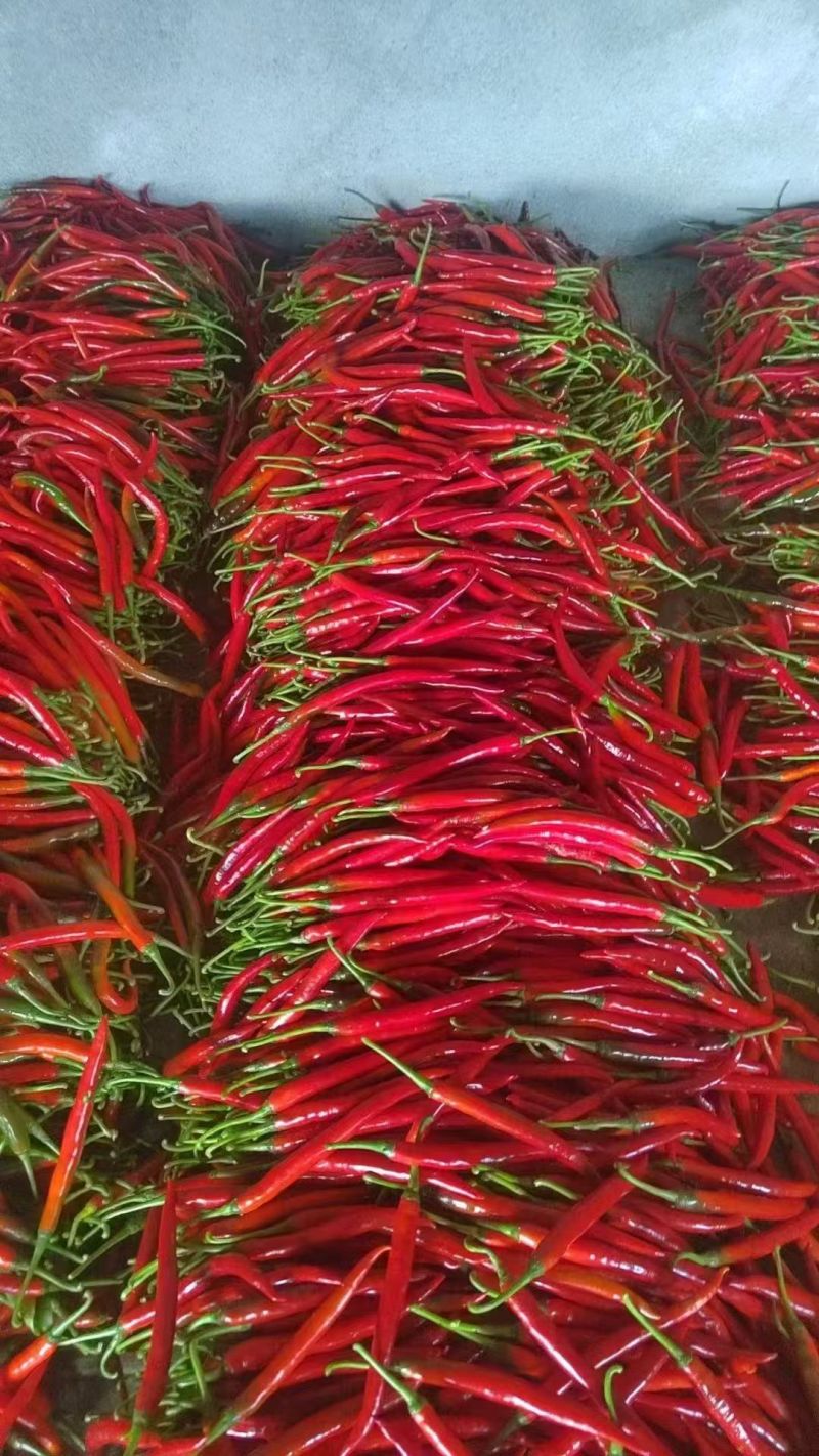 基地直发精品