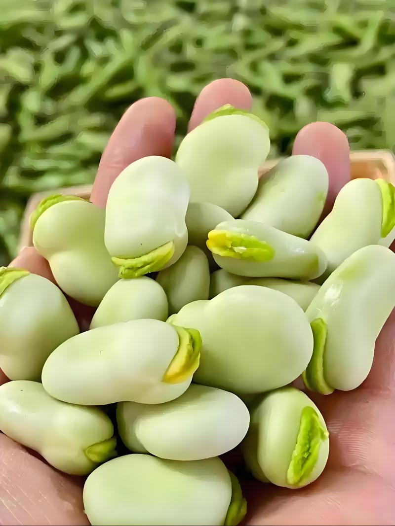 蚕豆