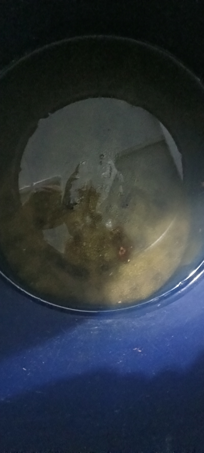 甲鱼