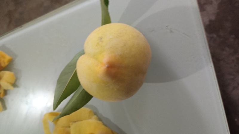 锦绣黄桃