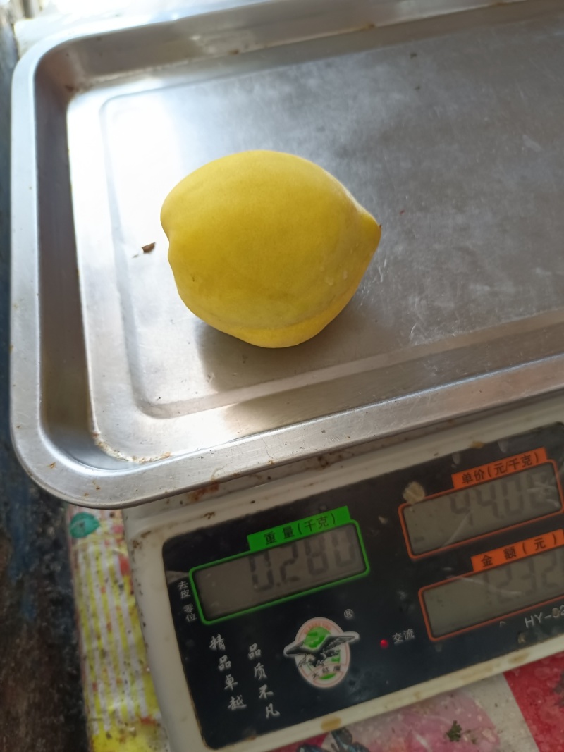 锦绣黄桃
