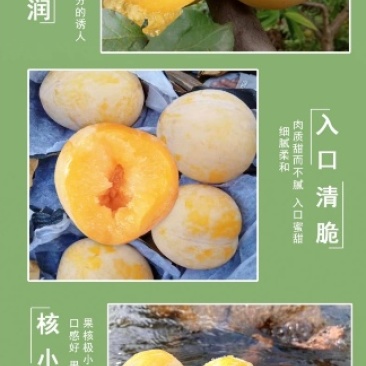 黄金奈李。美人桃，野生灵芝。野生蜂蜜。**香菇，柿饼