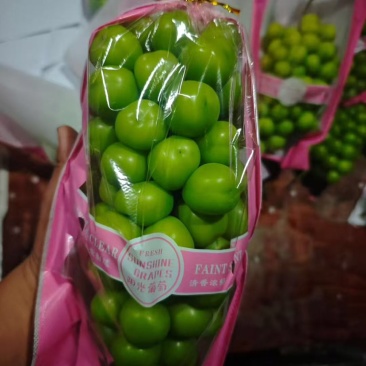 阳光玫瑰（电商、市场、零售）