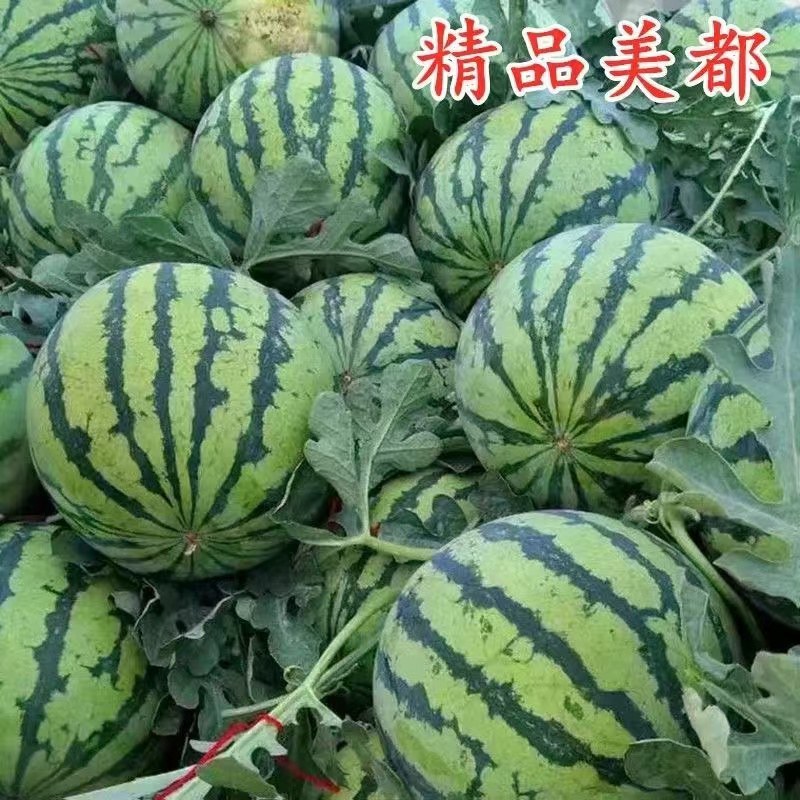 美都西瓜