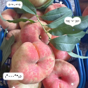 蟠桃