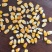 纯纯黑龙江现货干玉米粒一等标/二等标。随时提货无陈货！货量足