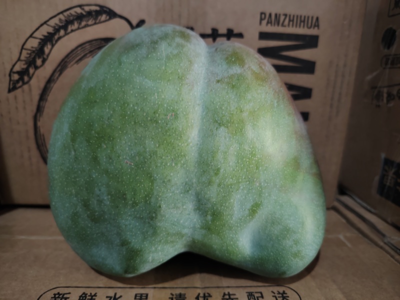 凯特芒果行情
